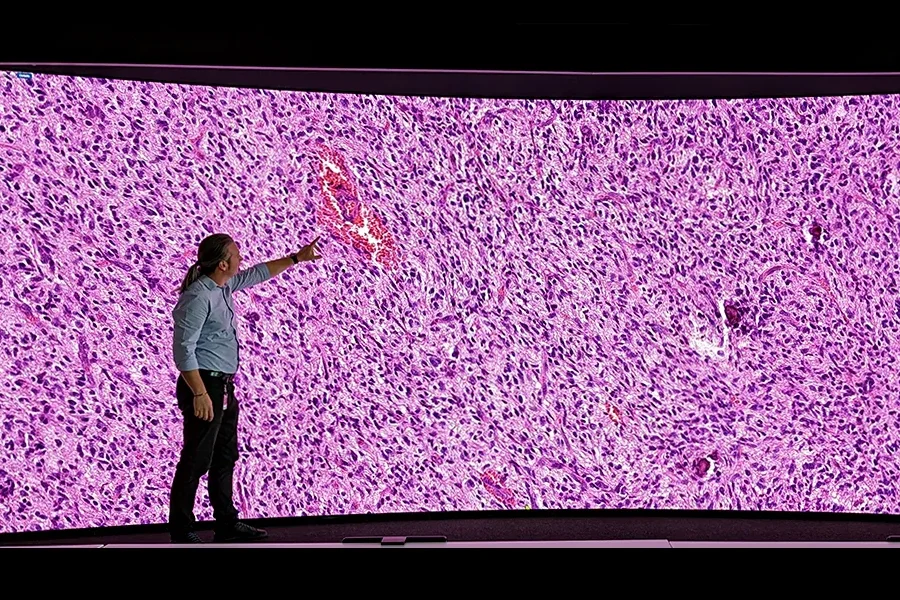 Spyridon Bakas, director of the Division of Computational Pathology at the IU School of Medicine, points at an enlarged visualization of cancer cells on an oversized wall display.