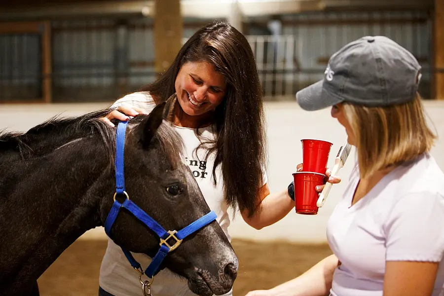 Navy veteran Stephanie Kroot participates in the IU Creative Arts for Vets wellness program, Art and Horses, by painting symbols of strength on therapy horses at PALS Barn in Bloomington.