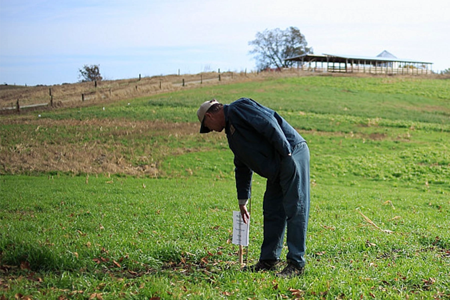 a farmer works in a green field