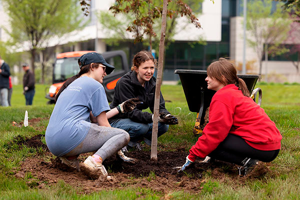 Three IU Indianapolis students crouch and place mulch around a newly planted tree.